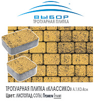 Тротуарная плитка Выбор "Листопад", КЛАССИКО Соты (115х115х60) — Выбор