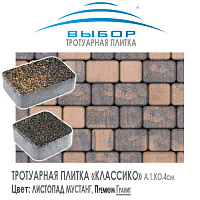 Тротуарная плитка Выбор "Листопад", КЛАССИКО Мустанг (115х115х60) — Выбор