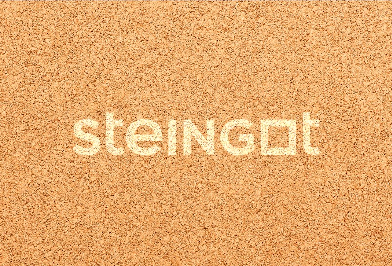 Брусчатка Steingot Серия "ПРАКТИК 60" Зигзаг, оранжевый(225х112х60) — Steingot