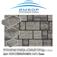 Тротуарная плитка Выбор "Искусственный камень", СТАРЫЙ ГОРОД Габбро (160x100x60) — Выбор