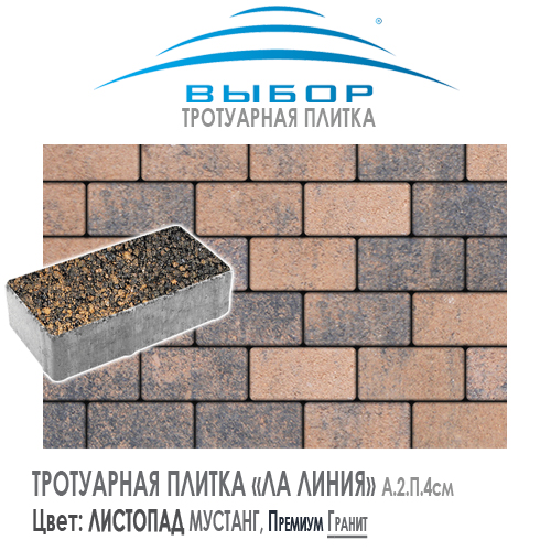 Тротуарная плитка Выбор "Листопад", ЛА-ЛИНИЯ Мустанг (200x100x80) — Выбор