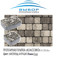 Тротуарная плитка Выбор "Листопад", КЛАССИКО Антрацит (115х115х60) — Выбор