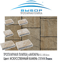 Тротуарная плитка Выбор "Искусственный камень", АНТАРА Степняк (250х300х60) — Выбор
