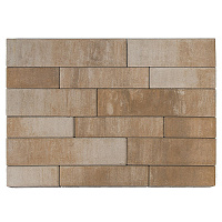 Тротуарная плитка BRAER Домино, Color Mix Плато (480х120х60) — Braer