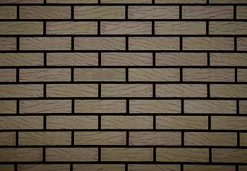 Кирпич Olive Strong 0,7 250х85х65 М200 F100 — Grandline