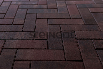 Плитка тротуарная Steingot Colormix Паркет 240х80х60мм Эмбер частичный прокрас — Grandline